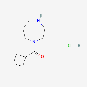 Cyclobutyl(1,4-diazepan-1-yl)methanone hydrochloride
