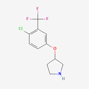 molecular formula C11H11ClF3NO B1416027 3-[4-Chloro-3-(trifluoromethyl)phenoxy]pyrrolidine CAS No. 2229203-79-4