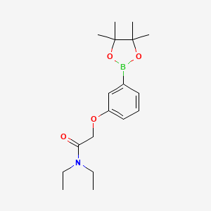 molecular formula C18H28BNO4 B1416040 N,N-二乙基-2-(3-(4,4,5,5-四甲基-1,3,2-二氧杂硼烷-2-基)苯氧基)乙酰胺 CAS No. 2057448-57-2