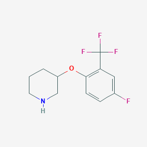 molecular formula C12H13F4NO B1416049 3-[4-Fluoro-2-(trifluoromethyl)phenoxy]piperidine CAS No. 2228295-04-1