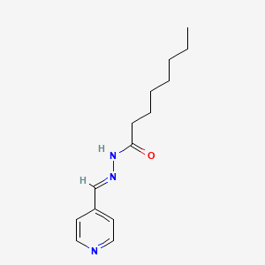 molecular formula C14H21N3O B14161350 N'-[(E)-pyridin-4-ylmethylidene]octanehydrazide 