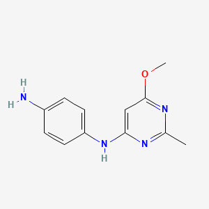 molecular formula C12H14N4O B1416142 N1-(6-methoxy-2-methylpyrimidin-4-yl)benzene-1,4-diamine CAS No. 1092277-80-9
