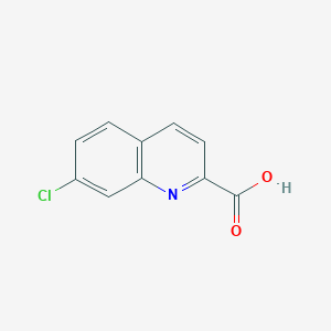 molecular formula C10H6ClNO2 B1416157 7-Chloroquinoline-2-carboxylic acid CAS No. 234444-66-7