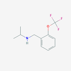 molecular formula C11H14F3NO B1416322 N-[[2-(Trifluoromethoxy)phenyl]methyl]propan-2-amine CAS No. 823188-59-6
