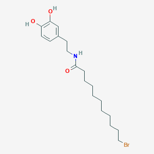 molecular formula C19H30BrNO3 B1416391 Undecanamide, 11-bromo-N-[2-(3,4-dihydroxyphenyl)ethyl]- CAS No. 1417821-16-9