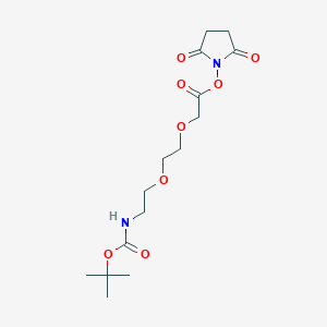 molecular formula C15H24N2O8 B1416394 3,6,11-Trioxa-9-azatridecanoic acid, 12,12-dimethyl-10-oxo-, 2,5-dioxo-1-pyrrolidinyl ester CAS No. 911102-04-0