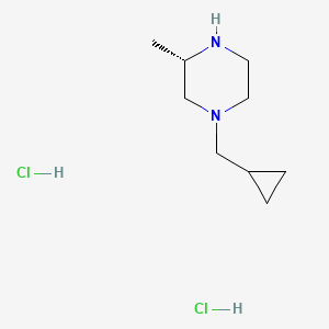 molecular formula C9H20Cl2N2 B1416396 (S)-1-Cyclopropylmethyl-3-methylpiperazine dihydrochloride CAS No. 2203714-62-7