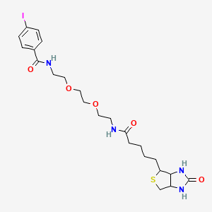 molecular formula C23H33IN4O5S B1416415 4-Iodo-N-(2-(2-(2-(5-(2-oxohexahydro-1H-thieno[3,4-d]imidazol-4-yl)pentanamido)ethoxy)ethoxy)ethyl)benzamide CAS No. 1432516-03-4