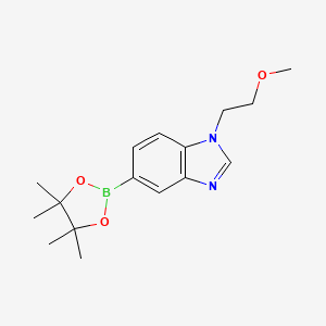 1-(2-Methoxyethyl)-5-(4,4,5,5-tetramethyl-[1,3,2]dioxaborolan-2-yl)-1H-benzoimidazole