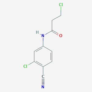 molecular formula C10H8Cl2N2O B1416467 3-chloro-N-(3-chloro-4-cyanophenyl)propanamide CAS No. 1087784-10-8