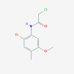 molecular formula C10H11BrClNO2 B1416533 N-(2-bromo-5-methoxy-4-methylphenyl)-2-chloroacetamide CAS No. 1135282-90-4