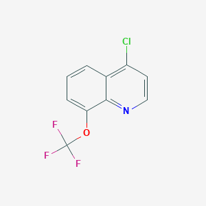 molecular formula C10H5ClF3NO B1416549 4-Chloro-8-(trifluoromethoxy)quinoline CAS No. 40516-42-5