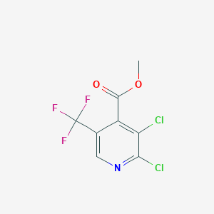 molecular formula C8H4Cl2F3NO2 B1416584 2,3-二氯-5-(三氟甲基)-异烟酸甲酯 CAS No. 1147979-43-8