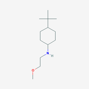 molecular formula C13H27NO B1416598 4-tert-butyl-N-(2-methoxyethyl)cyclohexan-1-amine CAS No. 416864-62-5
