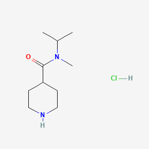 molecular formula C10H21ClN2O B1416768 N-isopropyl-N-methylpiperidine-4-carboxamide hydrochloride CAS No. 1173047-58-9