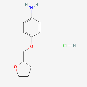 molecular formula C11H16ClNO2 B1416800 4-(Oxolan-2-ylmethoxy)aniline hydrochloride CAS No. 1172071-34-9