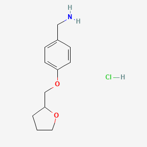 molecular formula C12H18ClNO2 B1416814 1-[4-(Tetrahydrofuran-2-ylmethoxy)phenyl]methanamine hydrochloride CAS No. 1172099-78-3