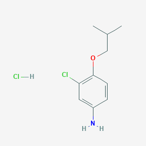 molecular formula C10H15Cl2NO B1416823 3-Chloro-4-isobutoxyaniline hydrochloride CAS No. 1170938-91-6