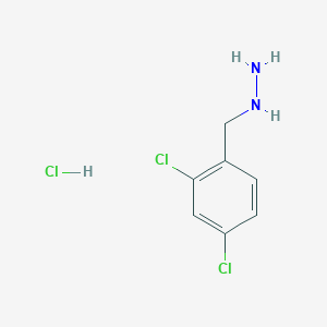 molecular formula C7H9Cl3N2 B1416845 (2,4-Dichlorobenzyl)hydrazine hydrochloride CAS No. 879645-40-6