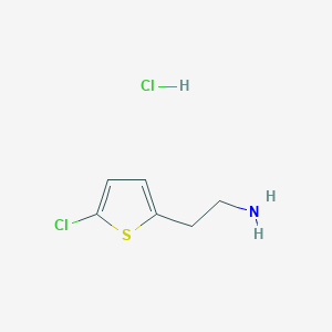 molecular formula C6H9Cl2NS B1416870 2-(5-Chlorothiophen-2-YL)ethanamine hydrochloride CAS No. 548772-42-5