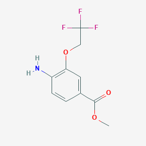 molecular formula C10H10F3NO3 B1417031 Methyl 4-amino-3-(2,2,2-trifluoroethoxy)benzoate CAS No. 1096863-64-7