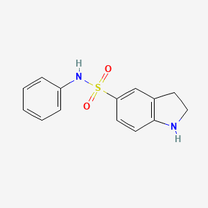 molecular formula C14H14N2O2S B1417276 N-phenylindoline-5-sulfonamide CAS No. 92245-85-7