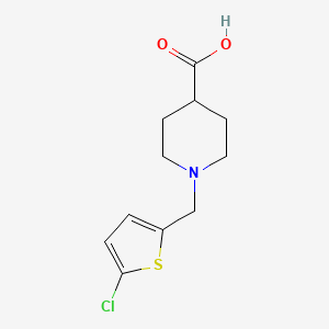 molecular formula C11H14ClNO2S B1417334 1-[(5-Chlorothiophen-2-yl)methyl]piperidine-4-carboxylic acid CAS No. 1156269-60-1