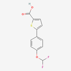 molecular formula C12H8F2O3S B1417351 5-[4-(二氟甲氧基)苯基]噻吩-2-甲酸 CAS No. 1096977-35-3