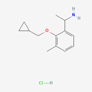 molecular formula C13H20ClNO B1417361 1-(2-Cyclopropylmethoxy-3-methylphenyl)-ethylamine hydrochloride CAS No. 2206609-70-1