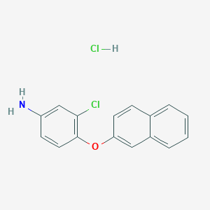 molecular formula C16H13Cl2NO B1417997 3-Chloro-4-(2-naphthyloxy)aniline hydrochloride CAS No. 298220-68-5