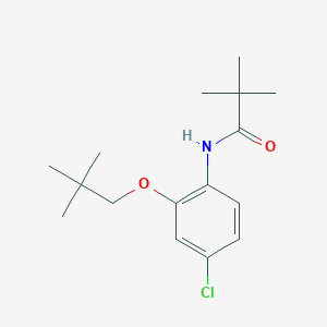 molecular formula C16H24ClNO2 B14180009 N-[4-Chloro-2-(2,2-dimethylpropoxy)phenyl]-2,2-dimethylpropanamide CAS No. 922162-82-1