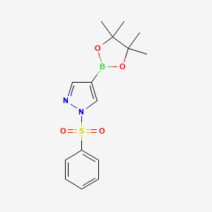 molecular formula C15H19BN2O4S B1418056 1-(phenylsulfonyl)-4-(4,4,5,5-tetramethyl-1,3,2-dioxaborolan-2-yl)-1H-pyrazole CAS No. 1073372-04-9