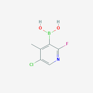 molecular formula C6H6BClFNO2 B1418059 (5-Chloro-2-fluoro-4-methylpyridin-3-yl)boronic acid CAS No. 1072944-13-8