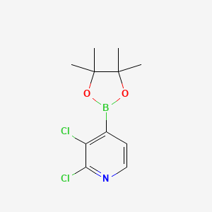 molecular formula C11H14BCl2NO2 B1418062 2,3-Dichloro-4-(4,4,5,5-tetramethyl-1,3,2-dioxaborolan-2-yl)pyridine CAS No. 1073353-78-2