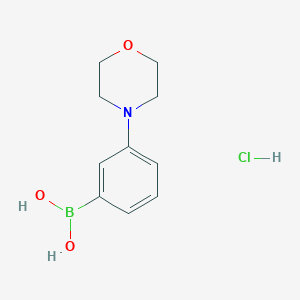 molecular formula C10H15BClNO3 B1418068 (3-Morpholinophenyl)boronic acid hydrochloride CAS No. 863248-20-8