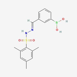 molecular formula C16H19BN2O4S B1418398 3-((2-(Mesitylsulfonyl)hydrazono)methyl)phenylboronic acid CAS No. 957061-06-2