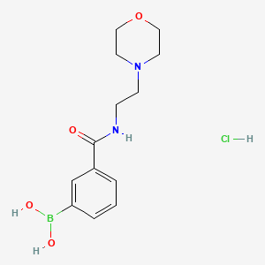 molecular formula C13H20BClN2O4 B1418412 (3-((2-Morpholinoethyl)carbamoyl)phenyl)boronic acid hydrochloride CAS No. 957060-89-8