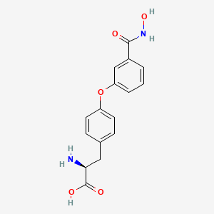molecular formula C16H16N2O5 B14184346 O-[3-(Hydroxycarbamoyl)phenyl]-L-tyrosine CAS No. 918157-28-5