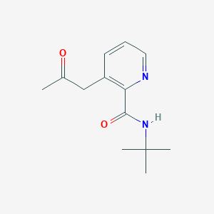 molecular formula C13H18N2O2 B14184661 N-tert-Butyl-3-(2-oxopropyl)pyridine-2-carboxamide CAS No. 922527-11-5