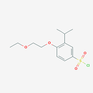 molecular formula C13H19ClO4S B1418569 4-(2-Ethoxyethoxy)-3-isopropylbenzenesulfonyl chloride CAS No. 1155916-27-0
