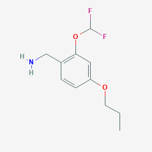 molecular formula C11H15F2NO2 B1418623 [2-(二氟甲氧基)-4-丙氧基苯基]甲胺 CAS No. 1155117-39-7