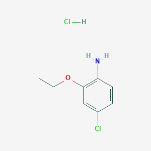 molecular formula C8H11Cl2NO B1418695 4-Chloro-2-ethoxyaniline hydrochloride CAS No. 858855-49-9
