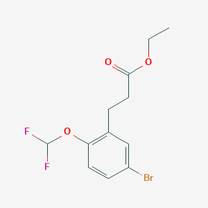 molecular formula C12H13BrF2O3 B1418732 Ethyl 3-[5-bromo-2-(difluoromethoxy)phenyl]propanoate CAS No. 1057674-78-8