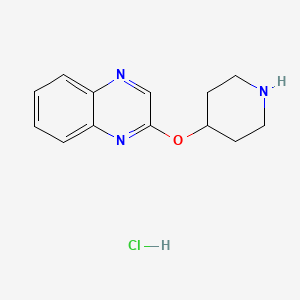 molecular formula C13H16ClN3O B1418745 2-(Piperidin-4-yloxy)quinoxaline hydrochloride CAS No. 1185309-98-1