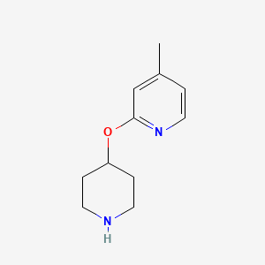 B1418767 4-Methyl-2-(piperidin-4-yloxy)pyridine CAS No. 944442-07-3