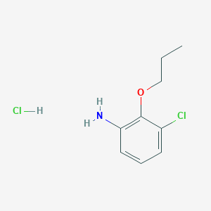 molecular formula C9H13Cl2NO B1418769 (3-chloro-2-propoxyphenyl)amine hydrochloride CAS No. 1185057-51-5