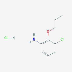 molecular formula C9H13Cl2NO B1418769 3-Chloro-2-propoxy-phenylamine hydrochloride CAS No. 1185057-51-5