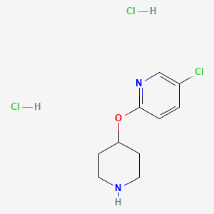 molecular formula C10H15Cl3N2O B1418796 5-Chloro-2-(piperidin-4-yloxy)pyridine dihydrochloride CAS No. 944390-66-3