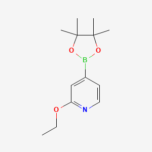 molecular formula C13H20BNO3 B1418802 2-Ethoxy-4-(4,4,5,5-tetramethyl-1,3,2-dioxaborolan-2-yl)pyridine CAS No. 957346-47-3