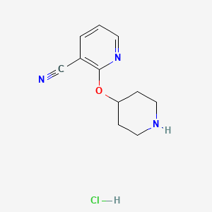 molecular formula C11H14ClN3O B1418805 2-(哌啶-4-氧基)烟腈盐酸盐 CAS No. 1185310-20-6